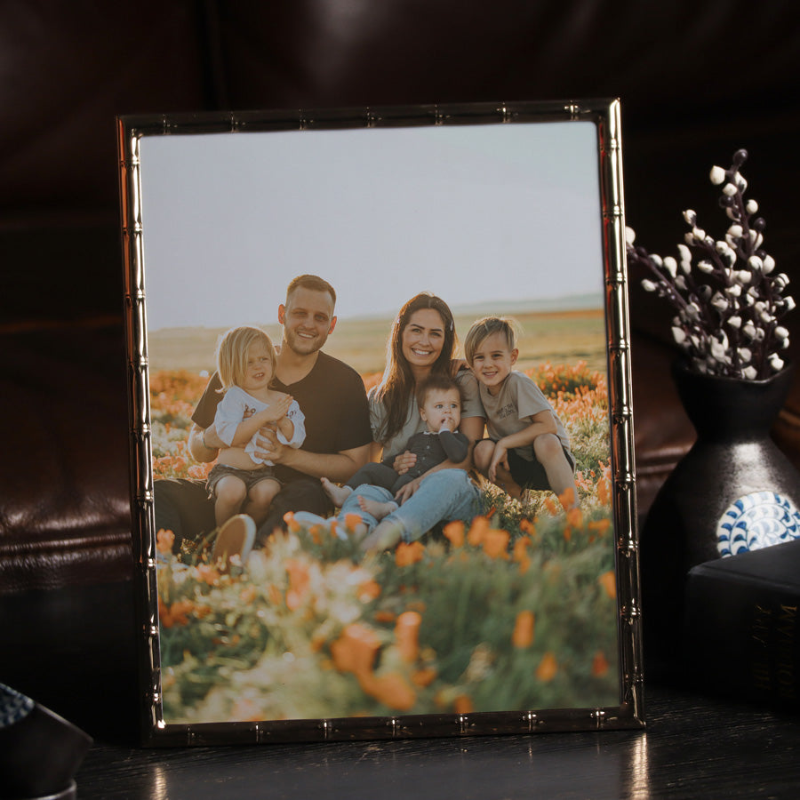 Stalk Photo Frame Extra Large - Gold