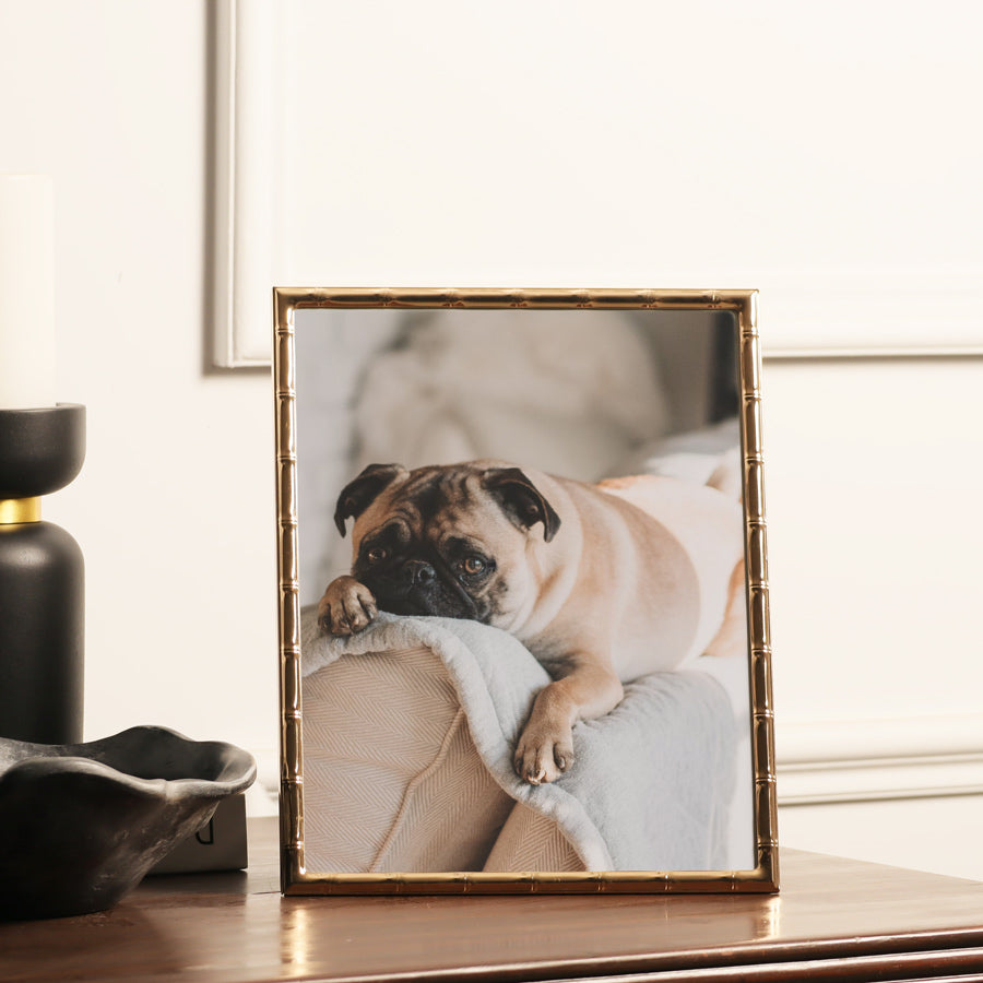 Stalk Photo Frame Extra Large - Gold