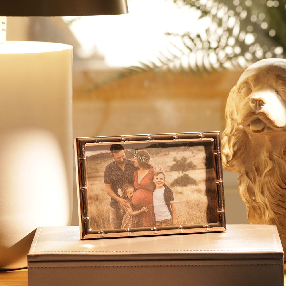 Stalk Photo Frame Medium - Gold