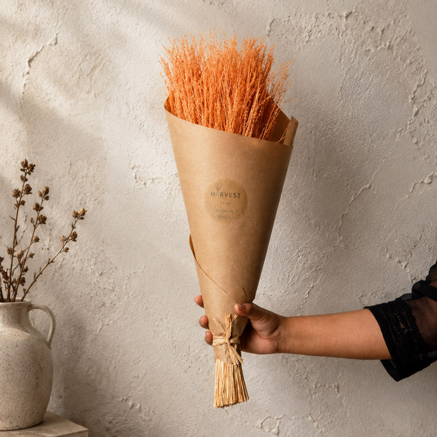 Star Grass Dried Bunch - Orange