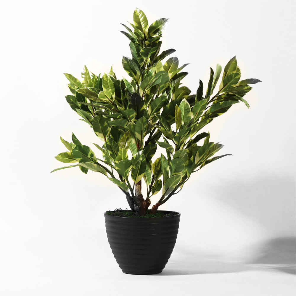 Starlight Ficus Artificial Potted Plant - Medium