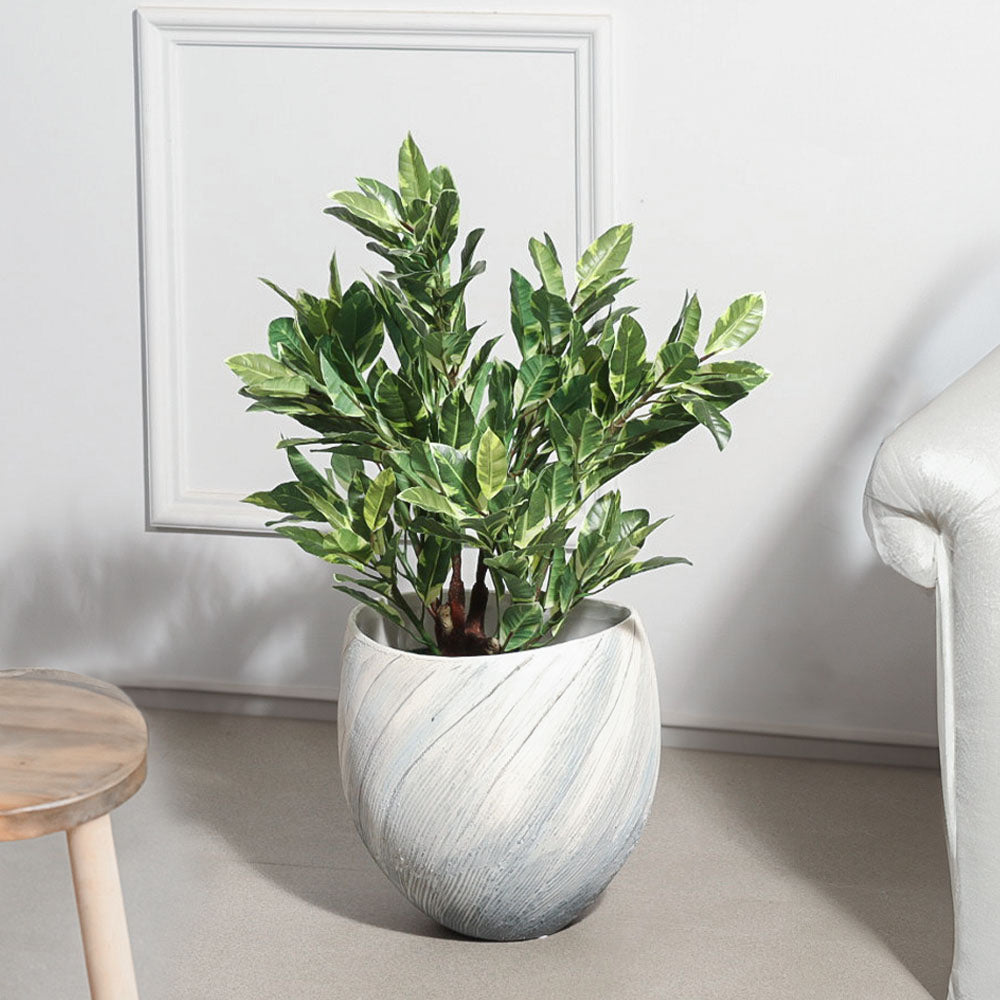 Starlight Ficus Artificial Potted Plant - Medium