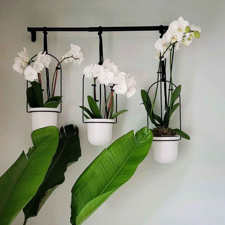 Triflora Hanging Planter, Set of 3 - White Black