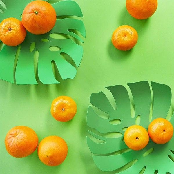 Balvi Monstera Leaf Fruit Platter - Green