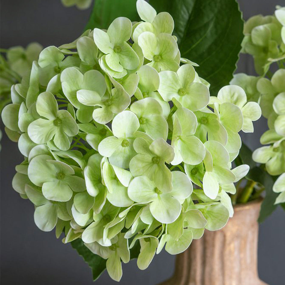 Mophead Hydrangea Faux Stem - Sage