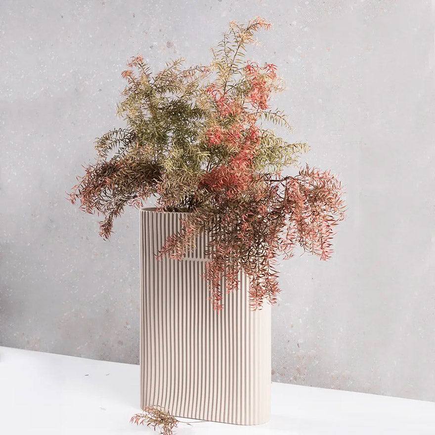 Enhabit Lines Porcelain Vase - Beige