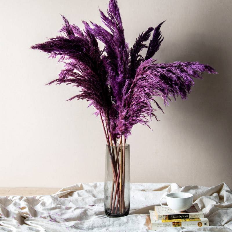 ESQ Living Pampas Dried Bunch - Amethyst