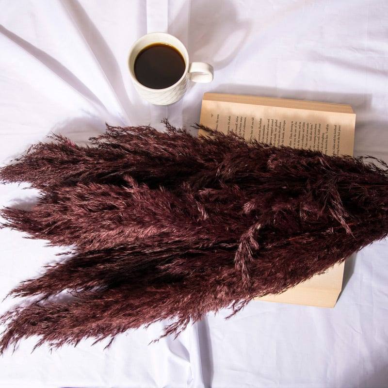 ESQ Living Pampas Dried Bunch - Dark Burgundy