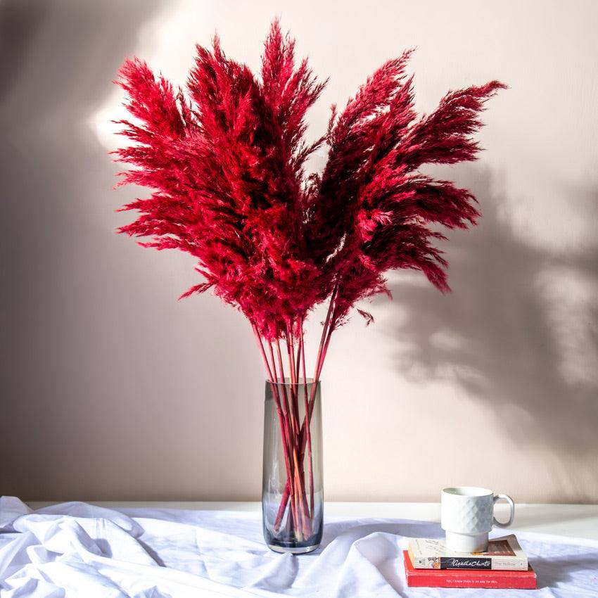 ESQ Living Pampas Dried Bunch - Dark Red