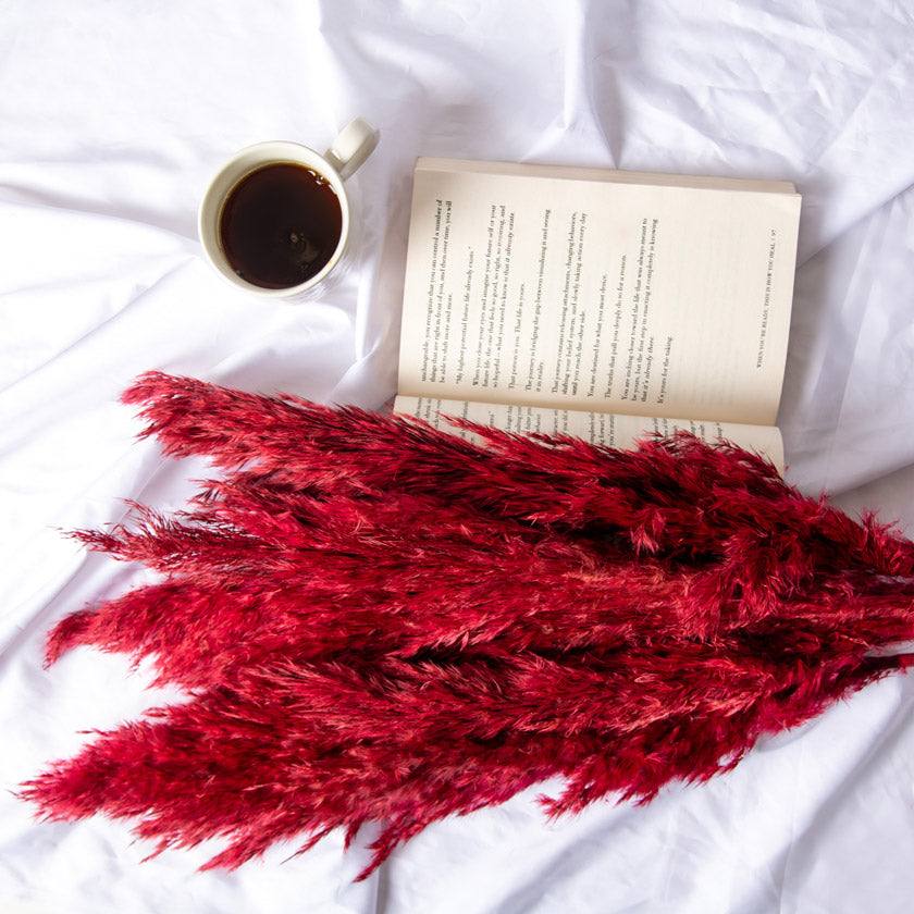 ESQ Living Pampas Dried Bunch - Dark Red