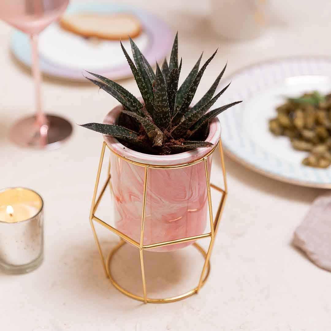 Isaaka Ceramic Hexagon Planter - Pink