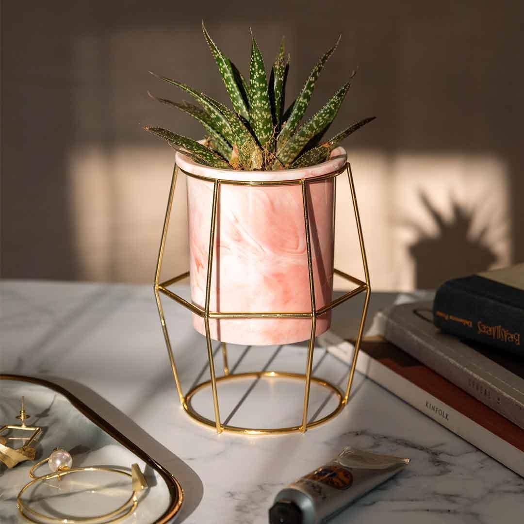 Isaaka Ceramic Hexagon Planter - Pink
