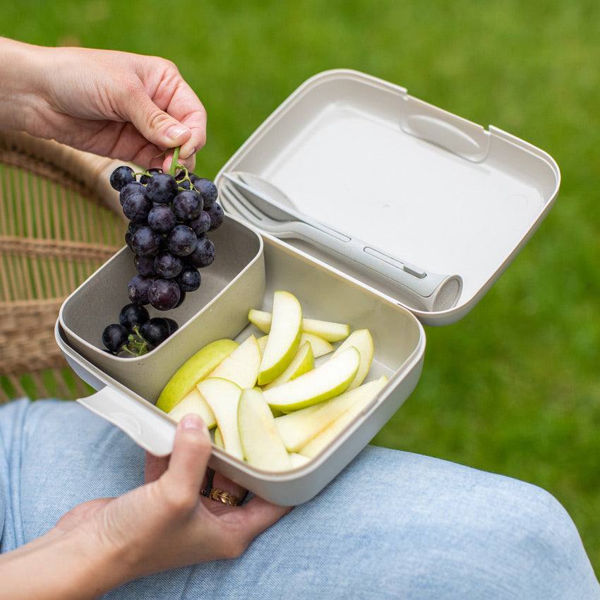 Koziol Germany Ready Lunch Box With Cutlery - Desert Sand