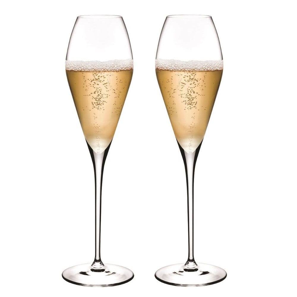 NUDE Turkey Fantasy Champagne Glasses 290ml, Set of 2