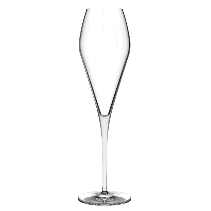 NUDE Turkey Fantasy Champagne Glasses 290ml, Set of 2
