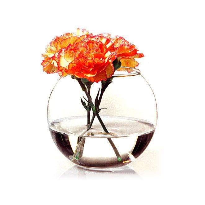 Pasabahce Botanica Glass Vase - Sphere