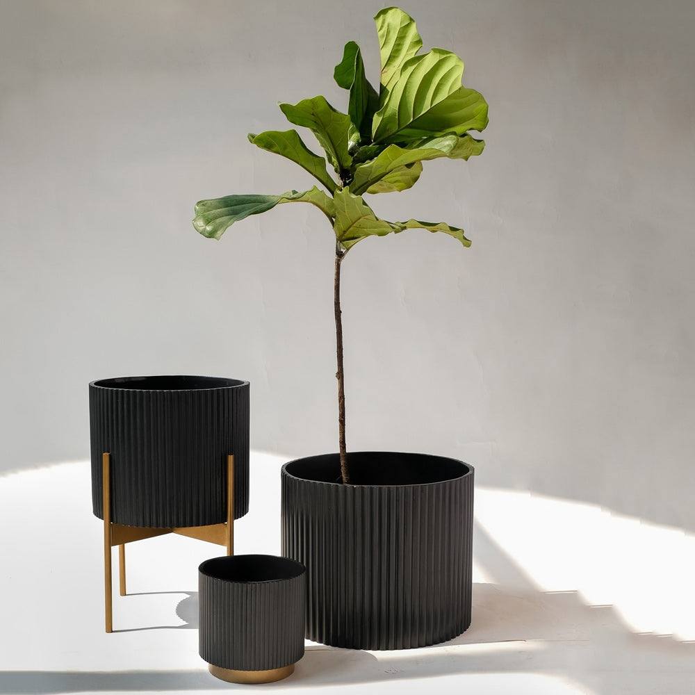 Ripples Home Midori Planter Medium - Black