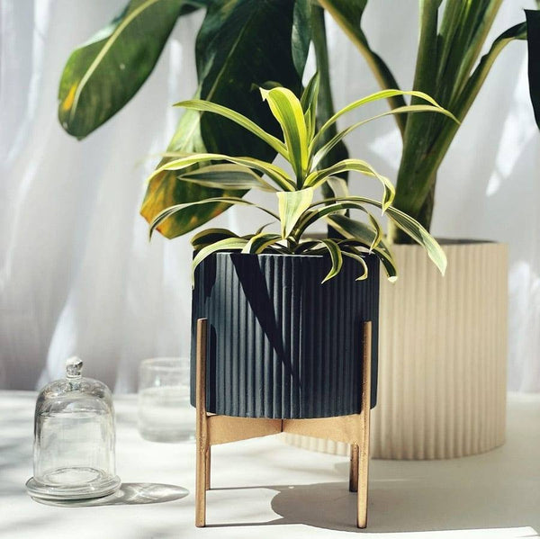Ripples Home Midori Planter with Stand Small - Black
