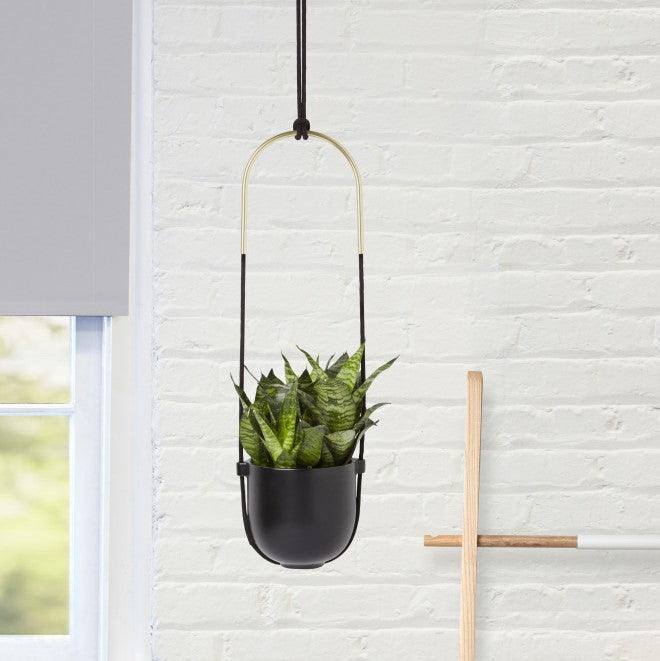 umbra hanging plant Umbra Bolo Hanging Planter