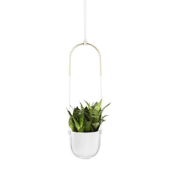 Umbra Bolo Hanging Planter - White