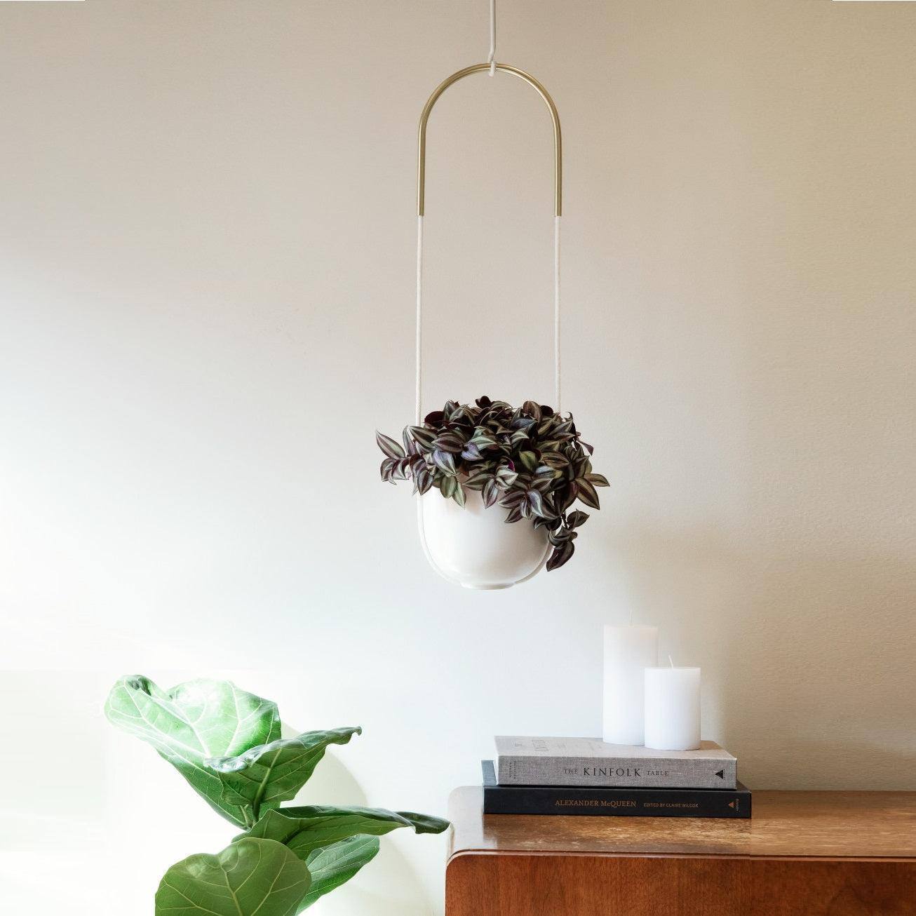 Umbra Bolo Hanging Planter - White