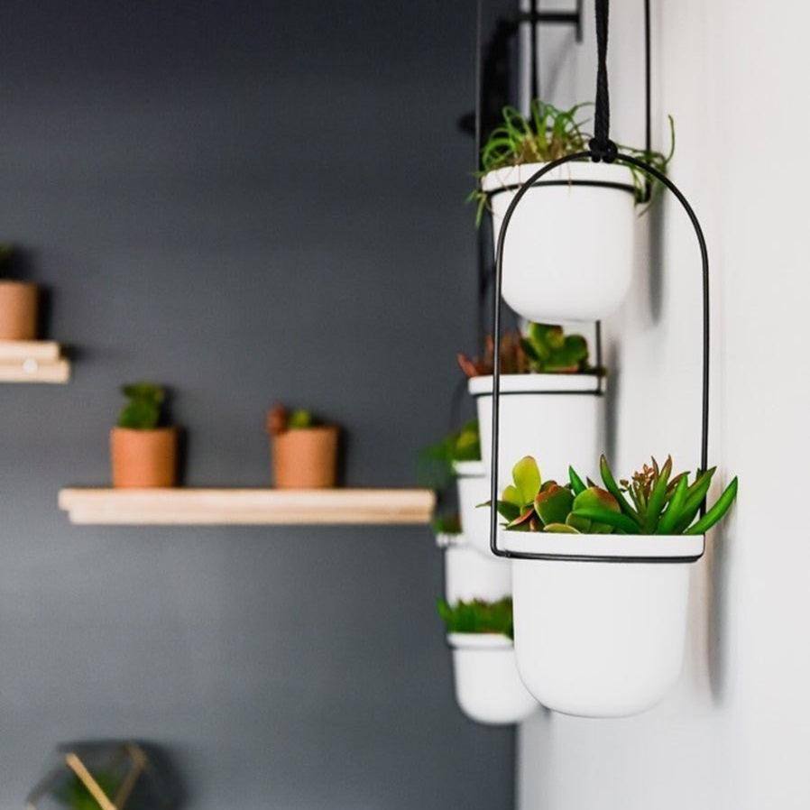 Umbra Triflora Hanging Planter, Set of 3 - White Black