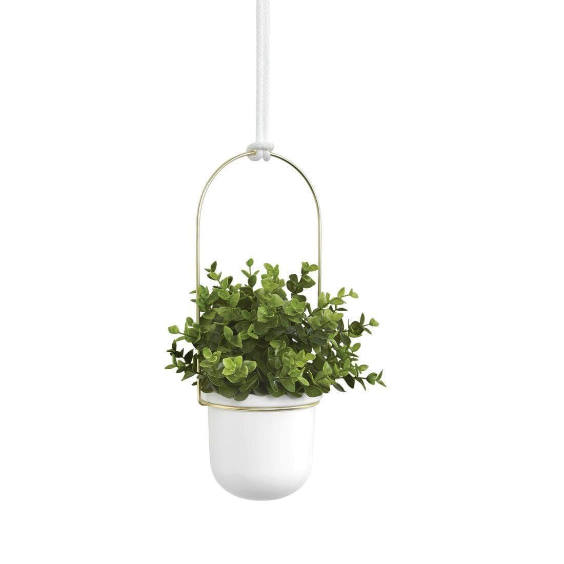 Umbra Triflora Hanging Planter, Set of 3 - White Brass