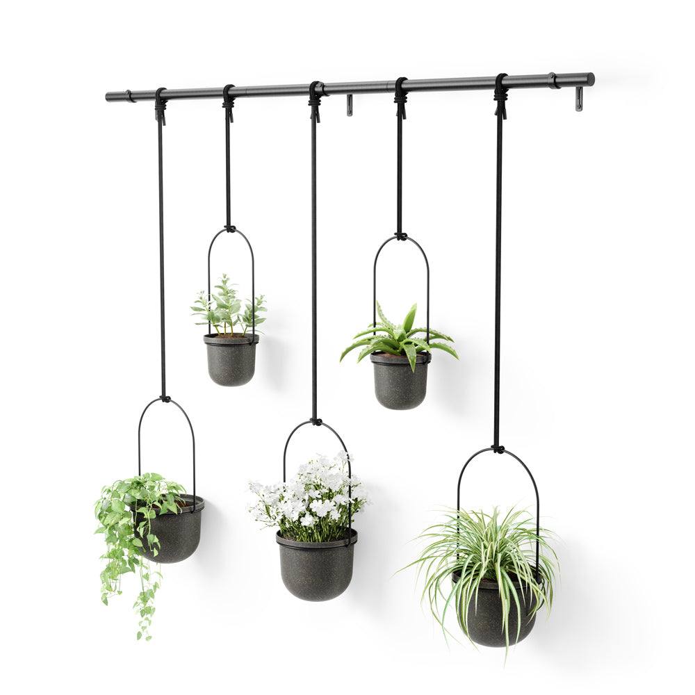 Umbra Triflora Hanging Planters, Set of 5 - Black