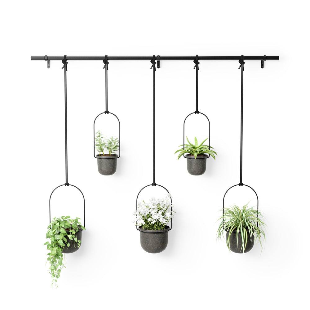 Umbra Triflora Hanging Planters, Set of 5 - Black