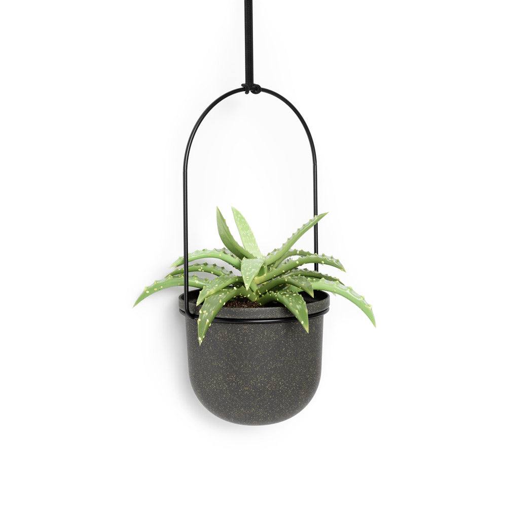 Umbra Triflora Hanging Planters, Set of 5 - Black