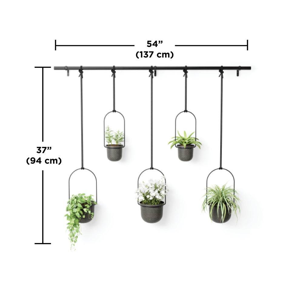 Umbra Triflora Hanging Planters, Set of 5 - Black